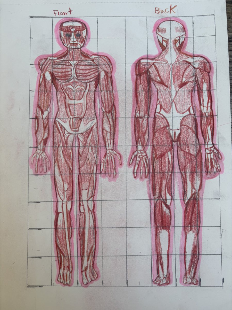 Cherripinko's tweet image. Muscle anatomy during class I did yesterday since I wanted to finish up my drawing assignments
#myart #muscles #artwork2026 #doodles #traditionalart #artistontwitter #drawings #sketches #coloring