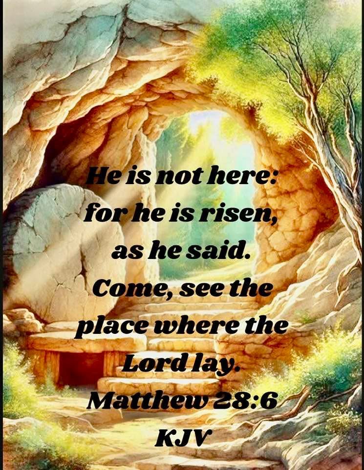 Alan (@elaine_alan) on Twitter photo 