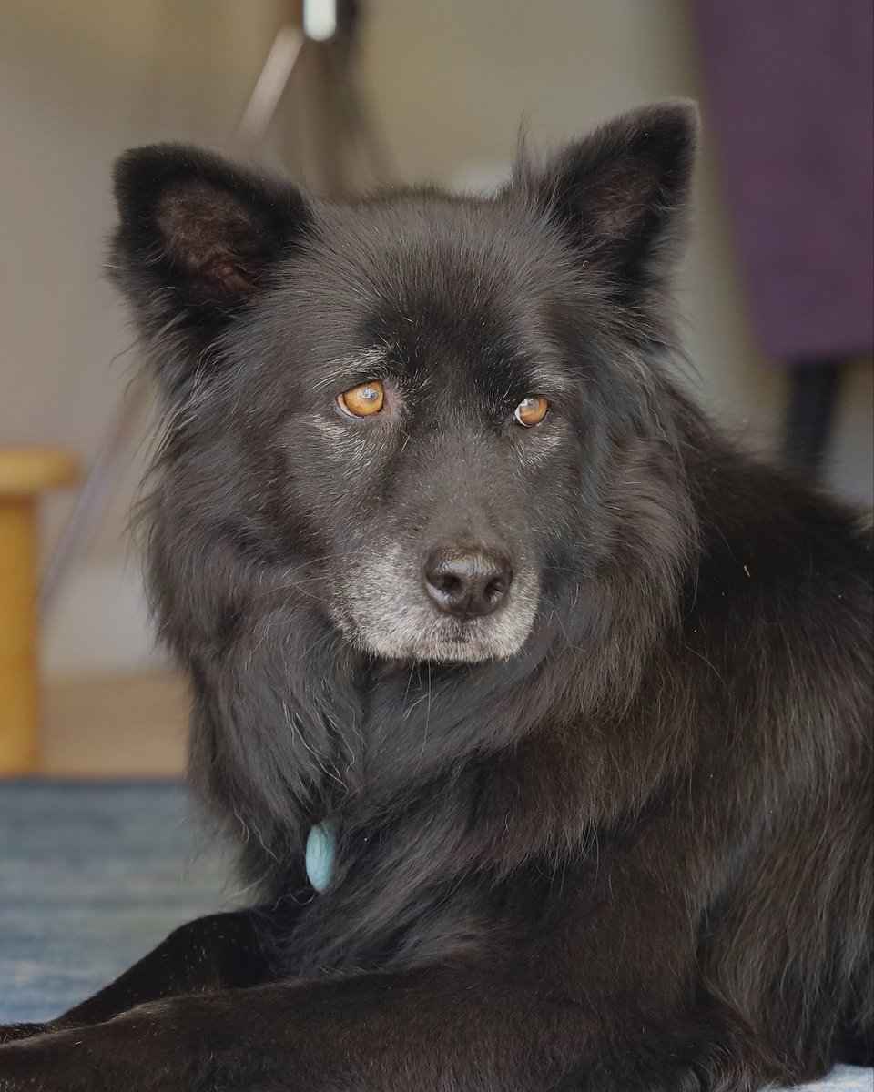 Stephen Green tweet media