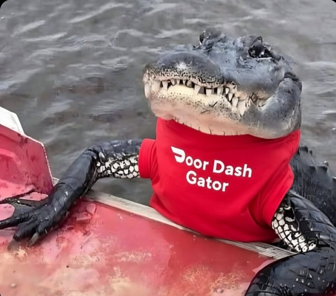 Wallstreet Jeets tweet media