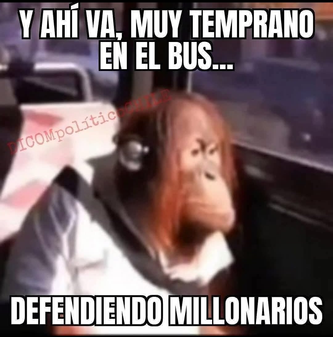 zoodiaco 🌐 tweet media