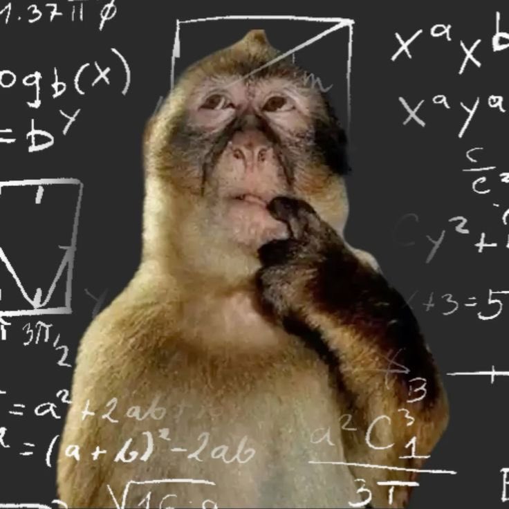 BYD Brasil tweet media