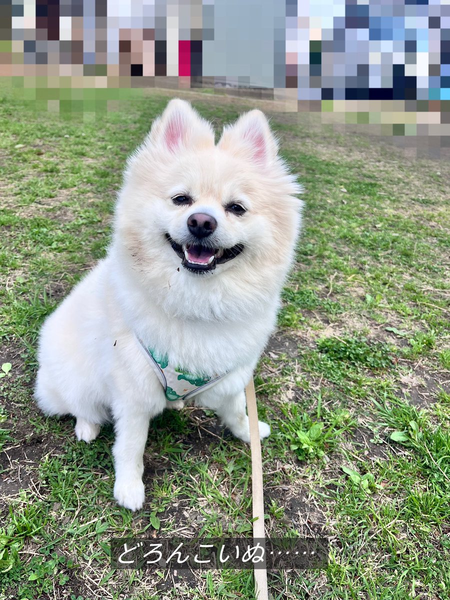 ⟡ ᴀɪʙᴏɴ ⟡ tweet media