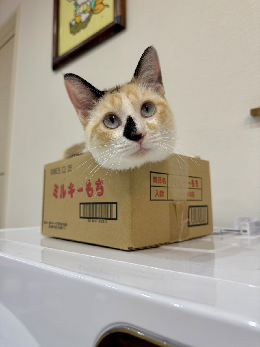 なみそ📕KEN/書籍重版！感謝📙 tweet media