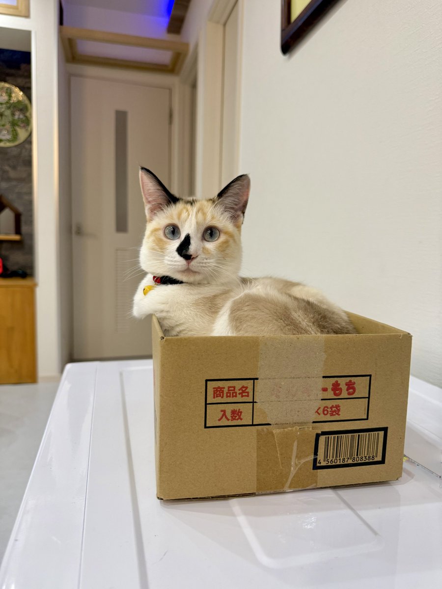 なみそ📕KEN/書籍重版！感謝📙 tweet media