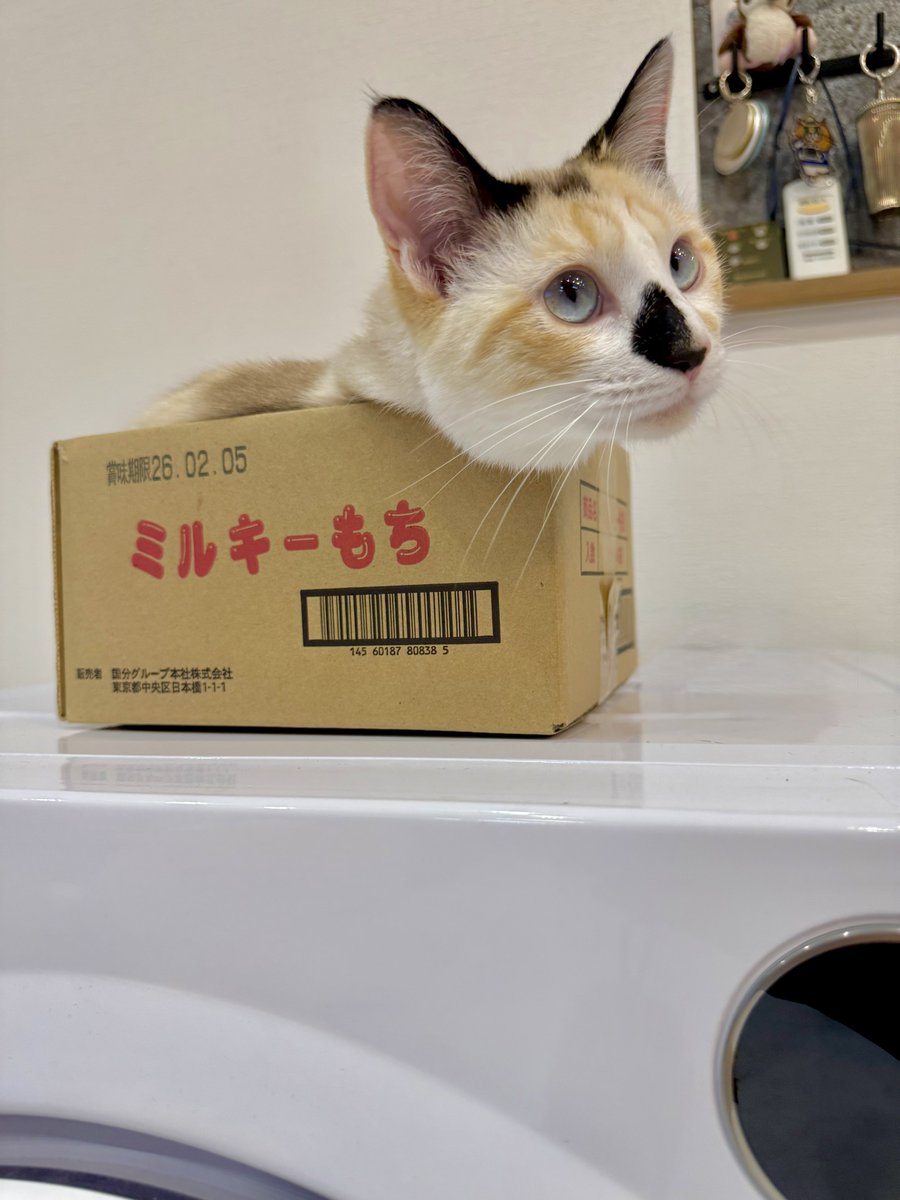 なみそ📕KEN/書籍重版！感謝📙 tweet media