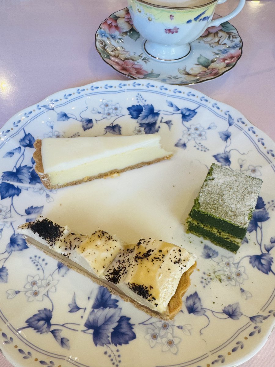 ごまたろ🇹🇭🐘 tweet media