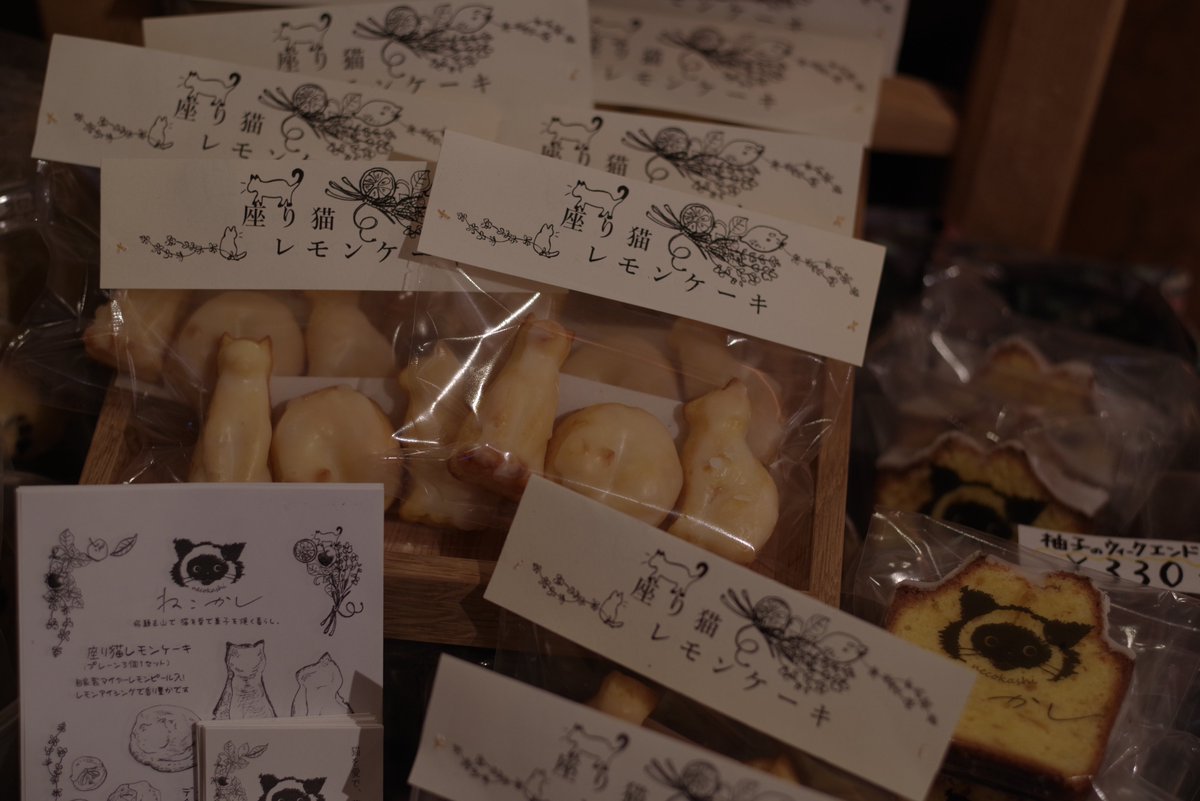 necokashi -ねこかし- tweet media