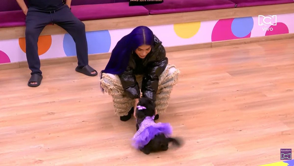 Soy...® tweet media