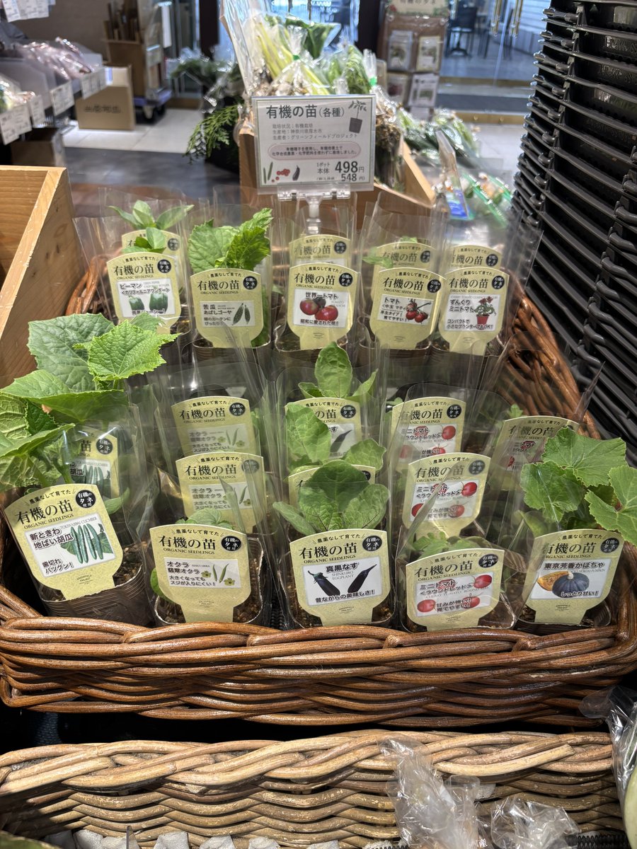 今年もグリーンフィールドプロジェクトさんの『有機の苗』の販売が始まりました🌱🍅🥒🍆🫑🍉
