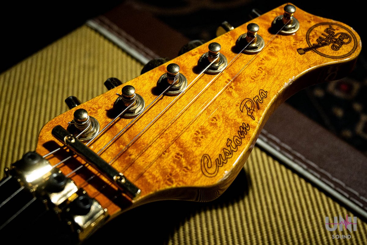 Valley Arts Custom Pro SRE-270 試奏ok