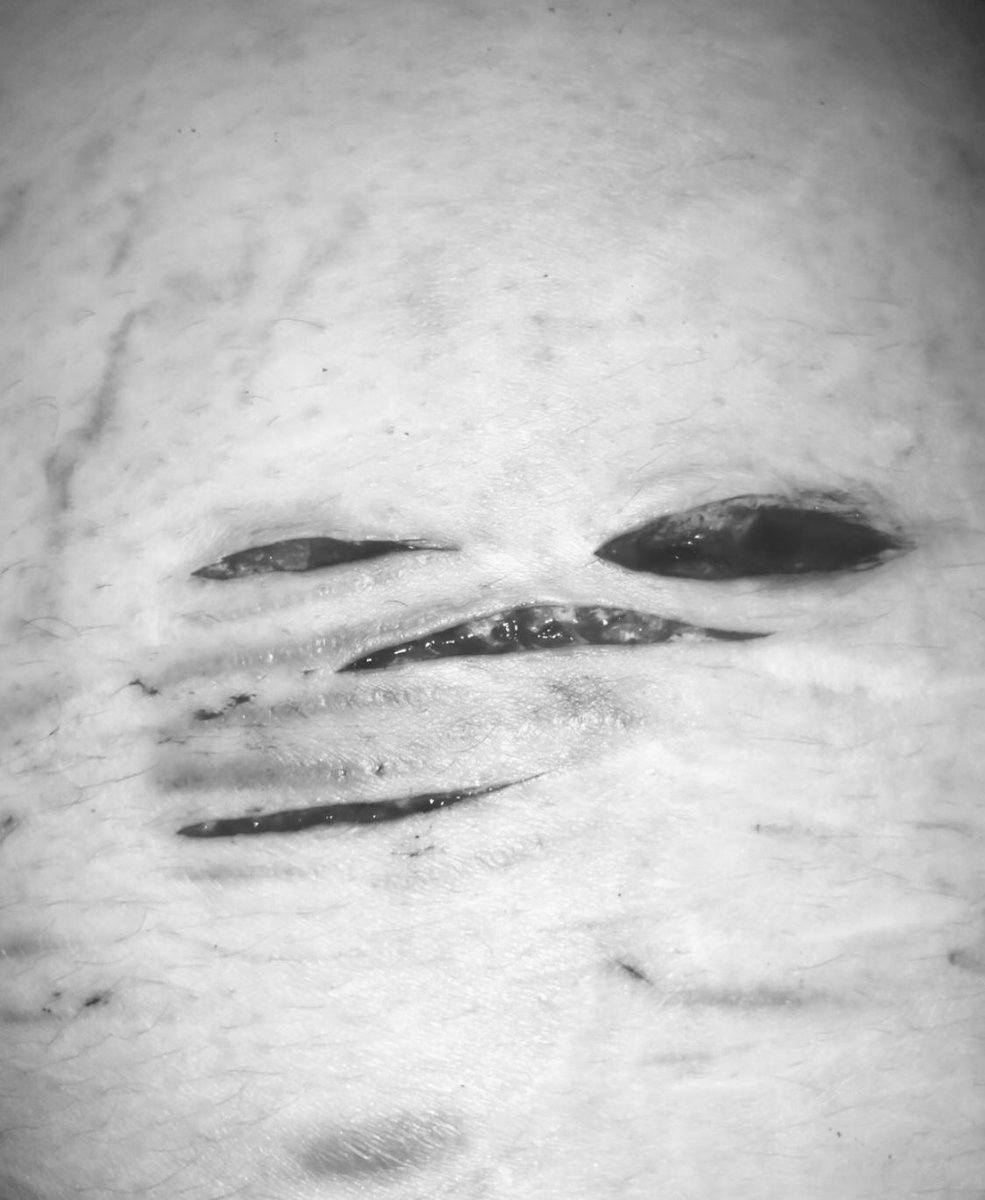 ｋｅｉｒ ˋˏ✄ｓｈｅｄｔｗｔ tweet media