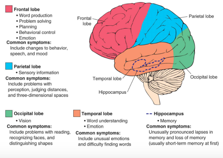 The Body Explained | Anatomy, Physiology, Medicine tweet media