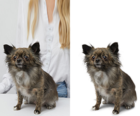 path_digit81042's tweet image. Image Masking Photo Editing Service. It's Our recent Client Photo Editing Service, Ecommerce Business More Need Image Masking, Color Correction, Jewelry Retouch, Real Estate  Service.
Our Portfolio:
behance.net/digitalpathstu…
digitalpathstudio.com
#clothingbrand #brand #masking