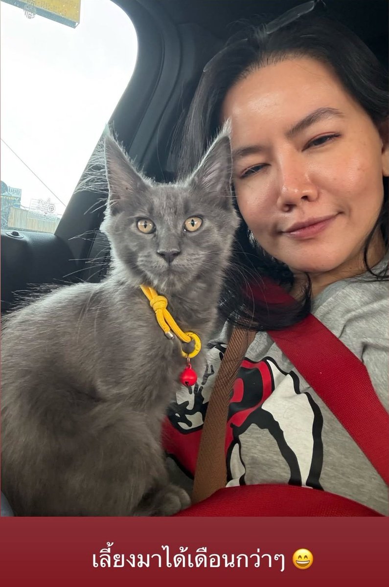 𝘾𝙖𝙛𝙛𝙚𝙞𝙣𝙚 🐰✨️🍀 tweet media