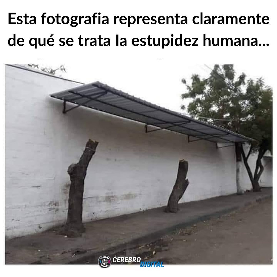 Más Ciencia tweet media