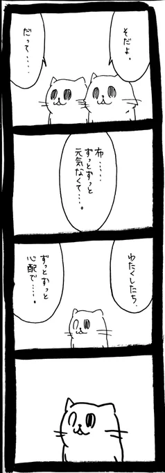 ドワーフキャットタオルちゃん75 