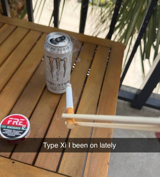 horse dentist tweet media