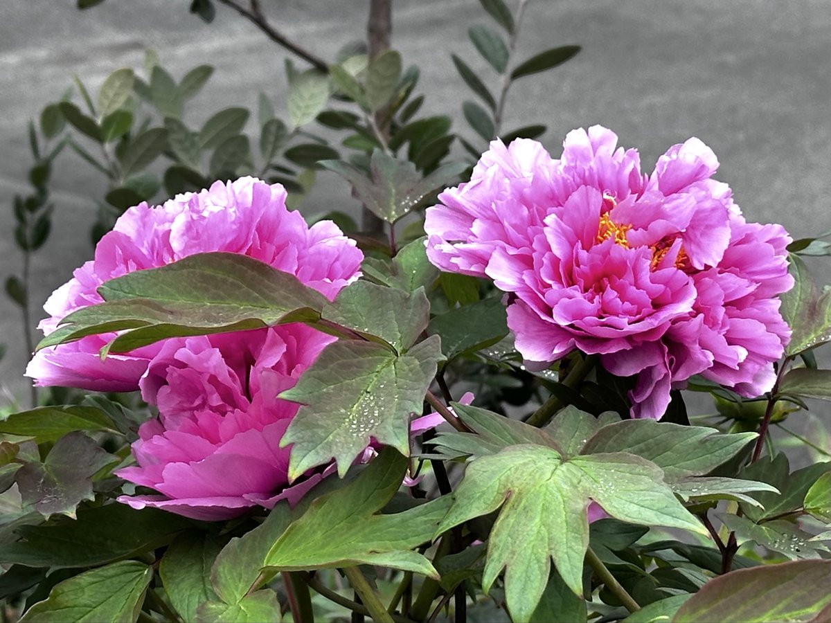 風と空 _ お返し遅れます m(._.)m tweet media