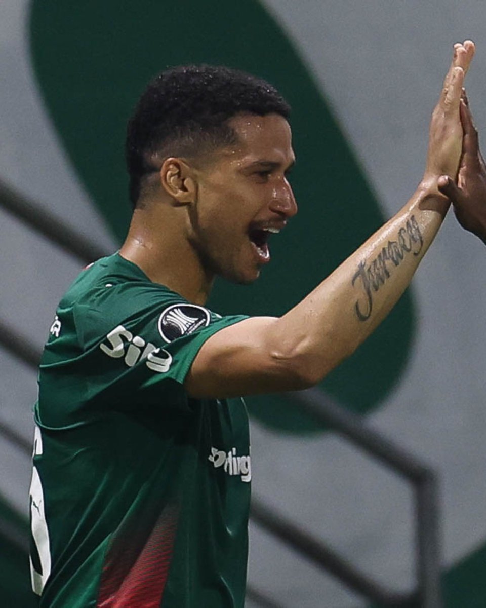 SE Palmeiras tweet media