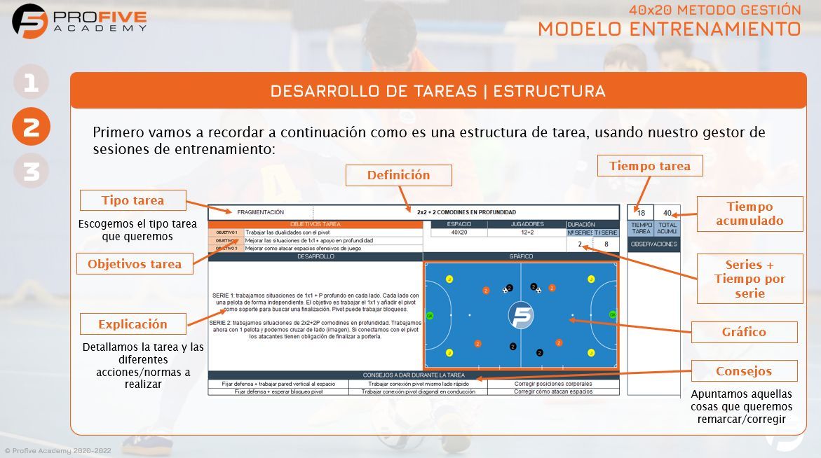 Profive Futsal Academy tweet media