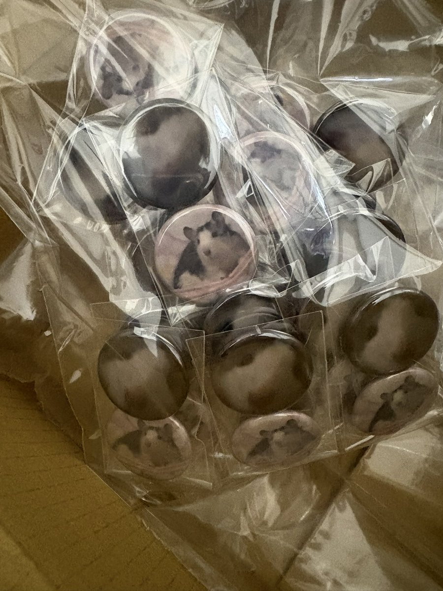 ぃʓぁ🌟 tweet media