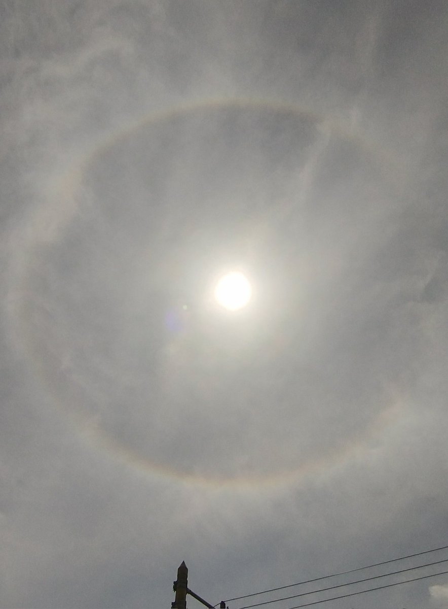 いつも馬鹿 tweet media