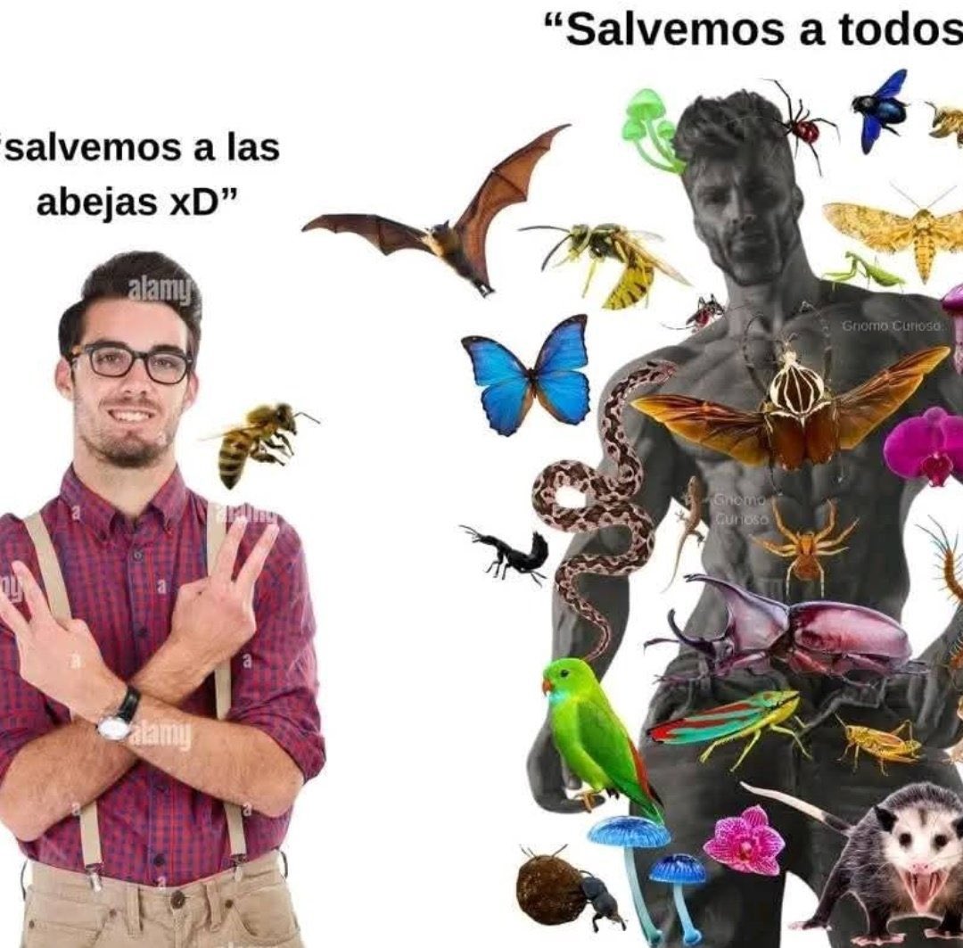 Memes Universidad Nacional tweet media