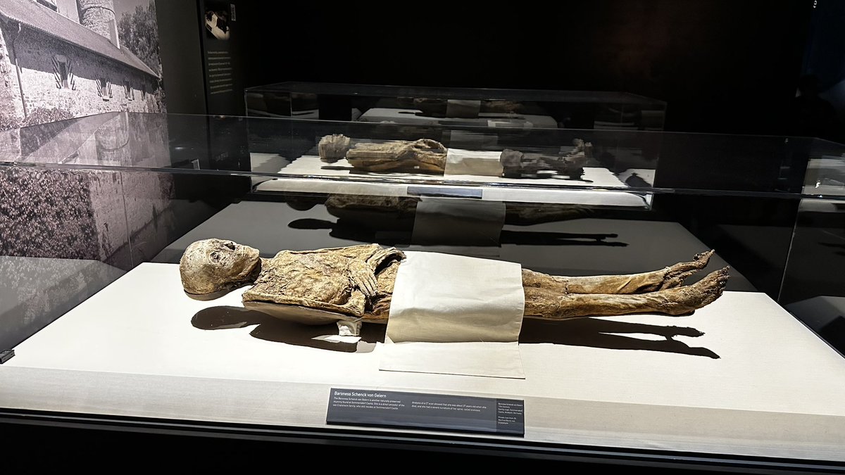 𝕹𝖎𝖈𝖐 𝕸𝖆𝖘𝖘𝖆𝖈𝖗𝖊 tweet media