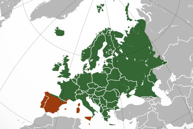 FHH backup tweet media