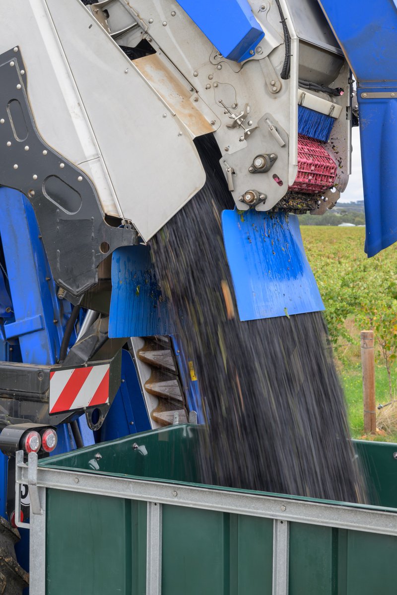 Vater Machinery tweet media