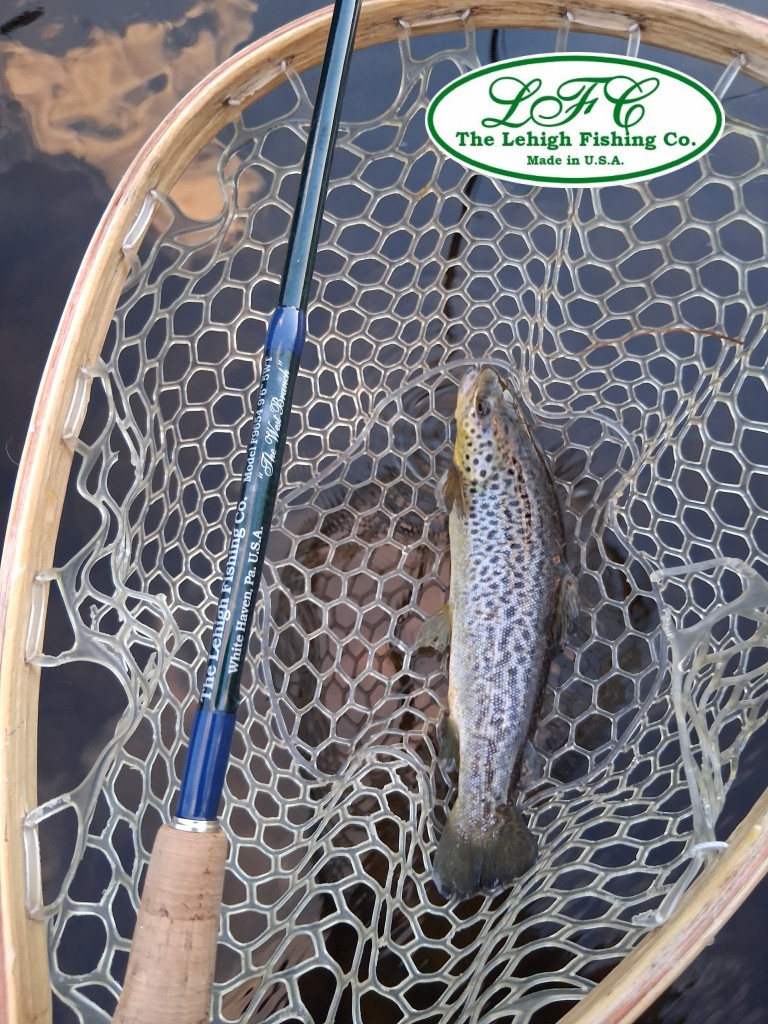 LehighFishingCo's tweet image. I had a nice afternoon on the Lehigh, using fly rod model F9654 “The West Branch” and The Chuck Booker Signature Rod. For more info on our rods, visit lehighfishing.com #veteranowned #americanmade #lfcrods #fishing