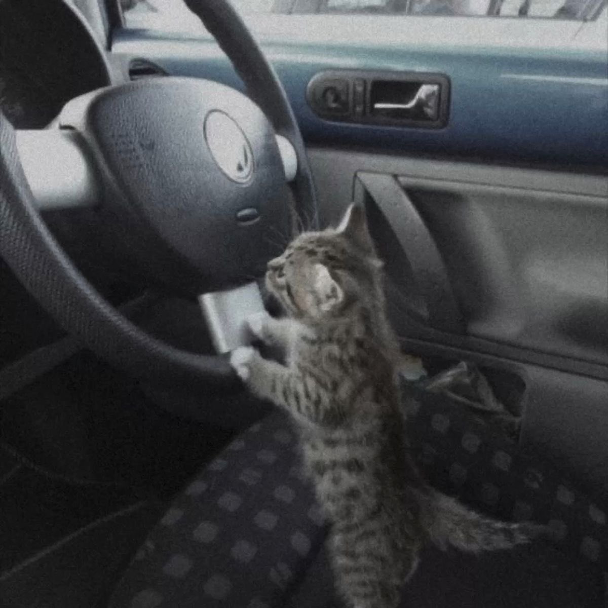 meg ⋆.˚ tweet media