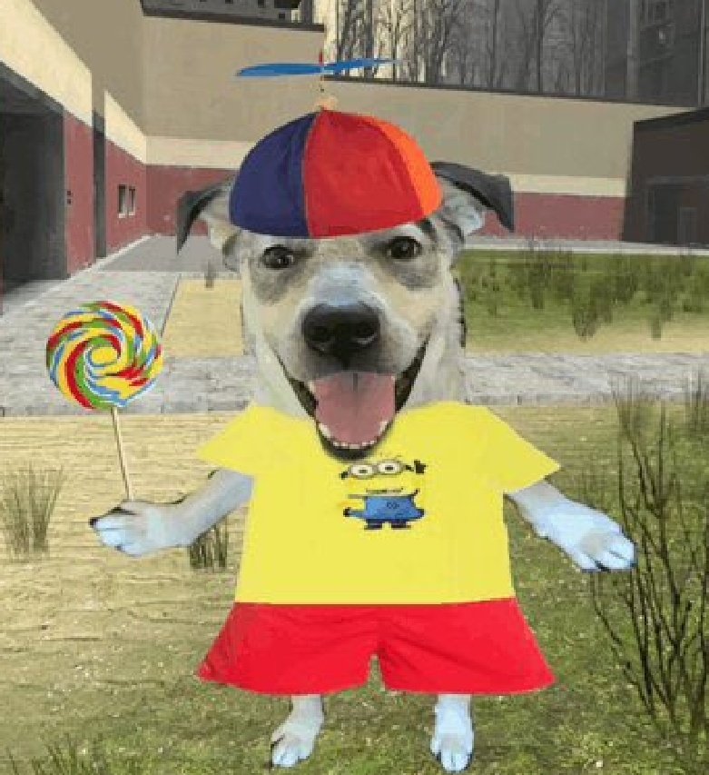 pastor de calcinha tweet media