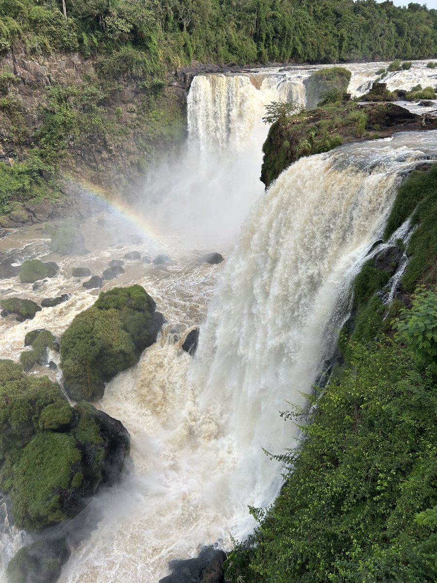 The World in White Socks (4K) tweet media