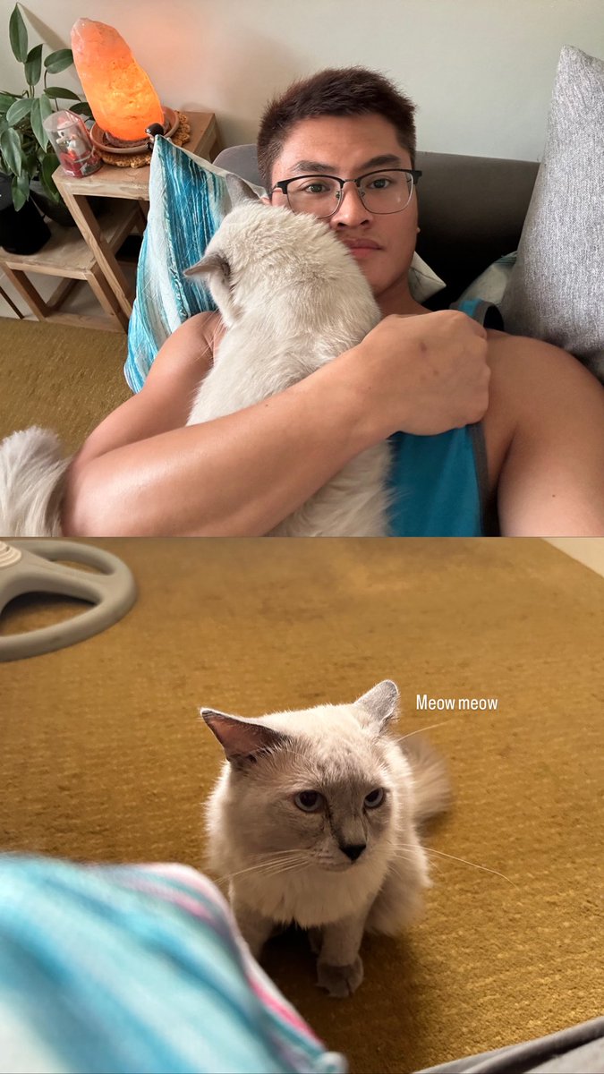 NATE 🐱 tweet media