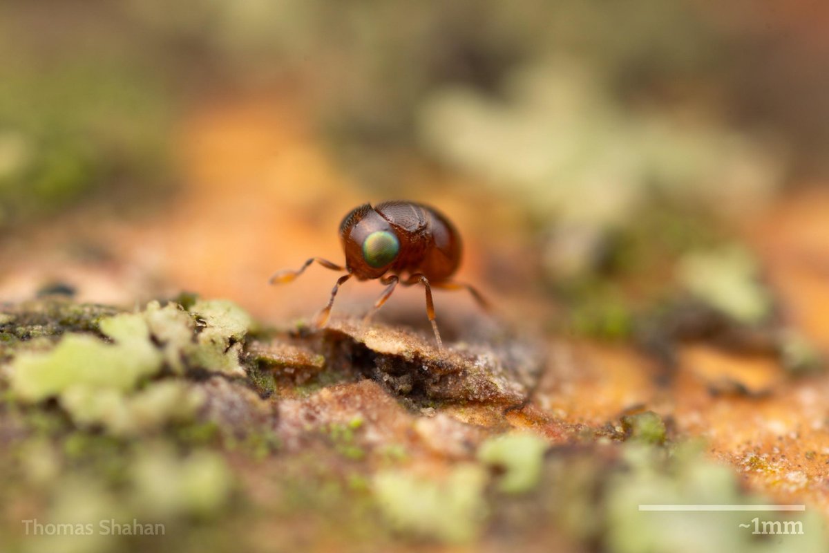 🍂pracklyy⚓ tweet media