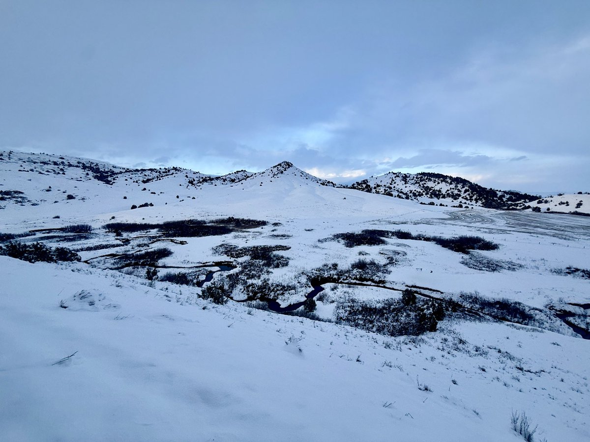JMatthews_Wild's tweet image. We got some much needed snow last night.  View from our back deck.
#backyard #Montana