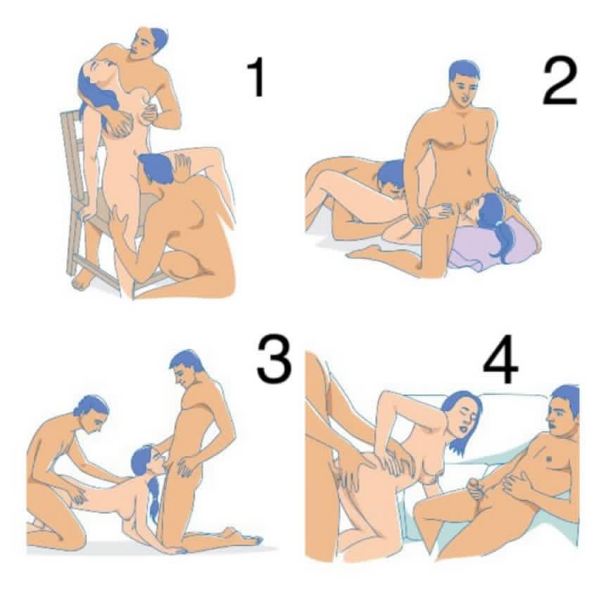 zorra nocturna tweet media