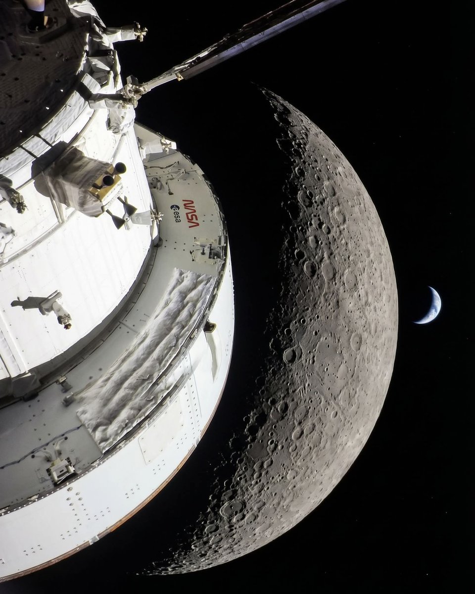 장코드 tweet media