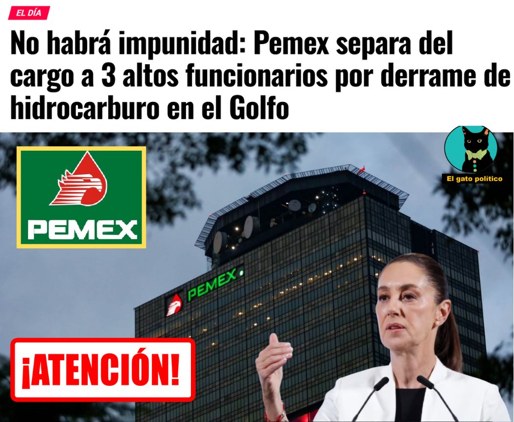 El gato político tweet media