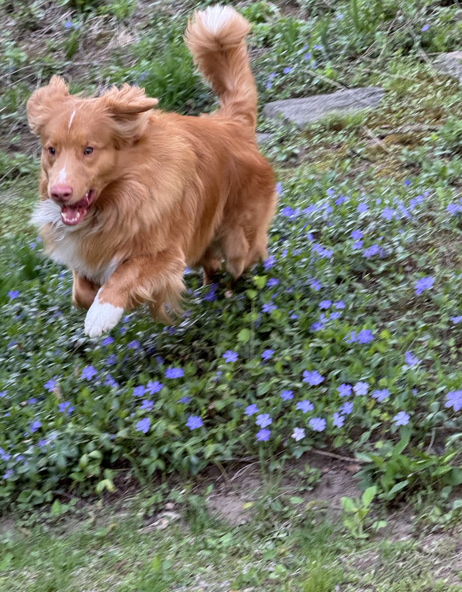 Augie (Shadow 🌈) tweet media