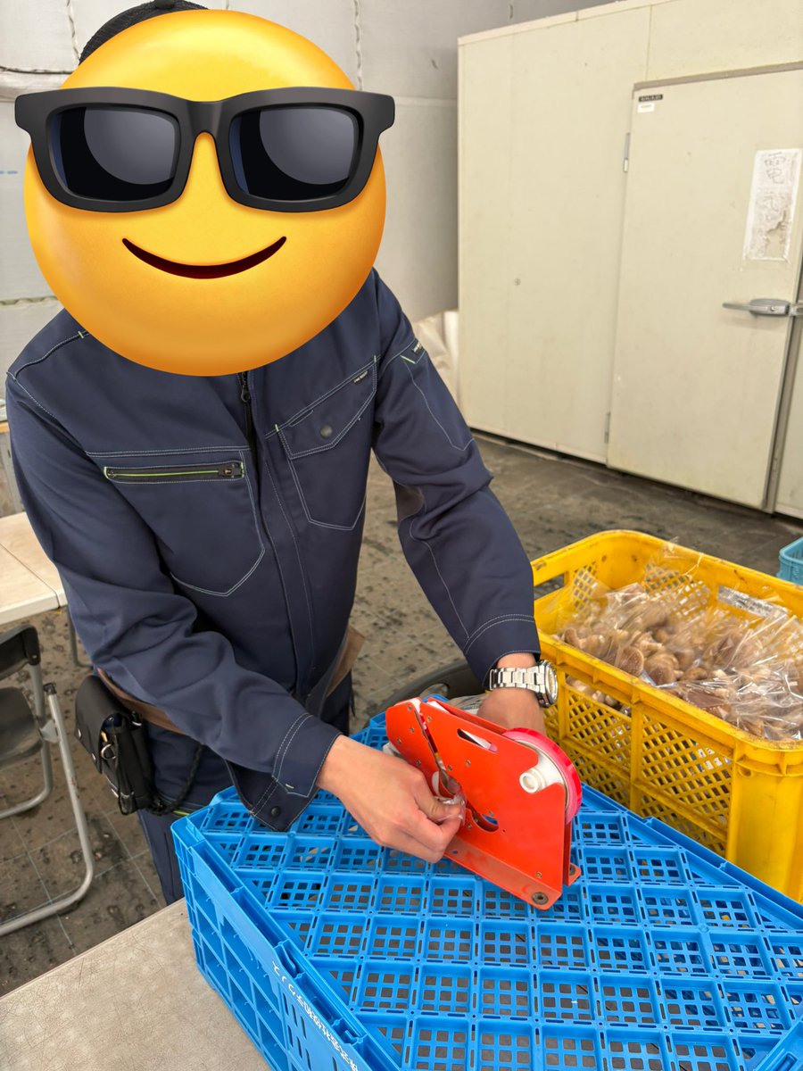 Life_Relife_ac's tweet photo. 我孫子市の就労継続支援A型事業所ライフ・リライフです❕️
今回はきのこ園の様子をお送りします🍄‍🟫

水やり、検品など各々の得意なことを活かし、みんなで助け合って作業を行いました✨

週の終わりでも気を抜かず、休憩と仕事でメリハリを付けて頑張ります💪 https://t.co/ARWIrHTT19