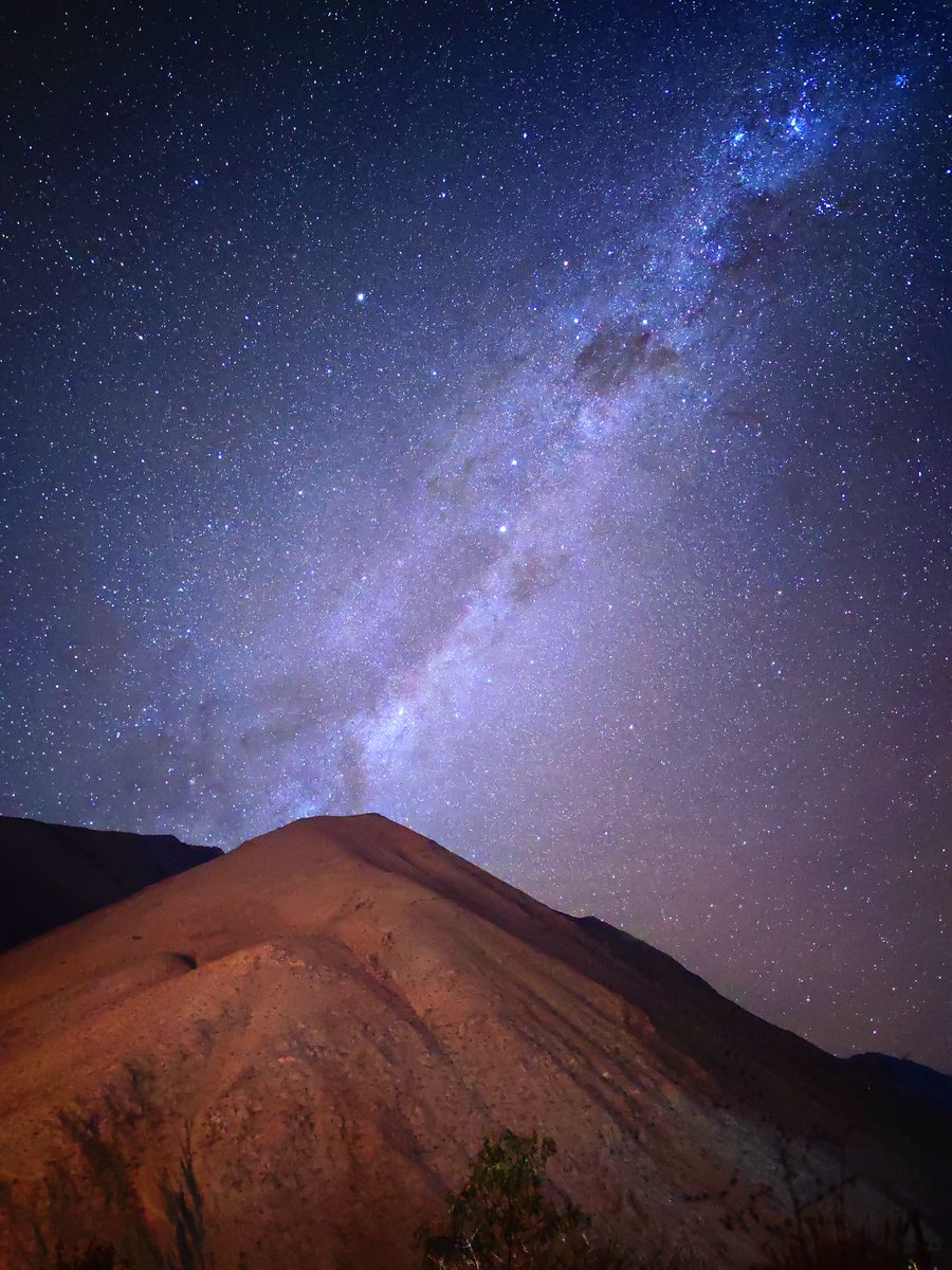 Seba Campos tweet media