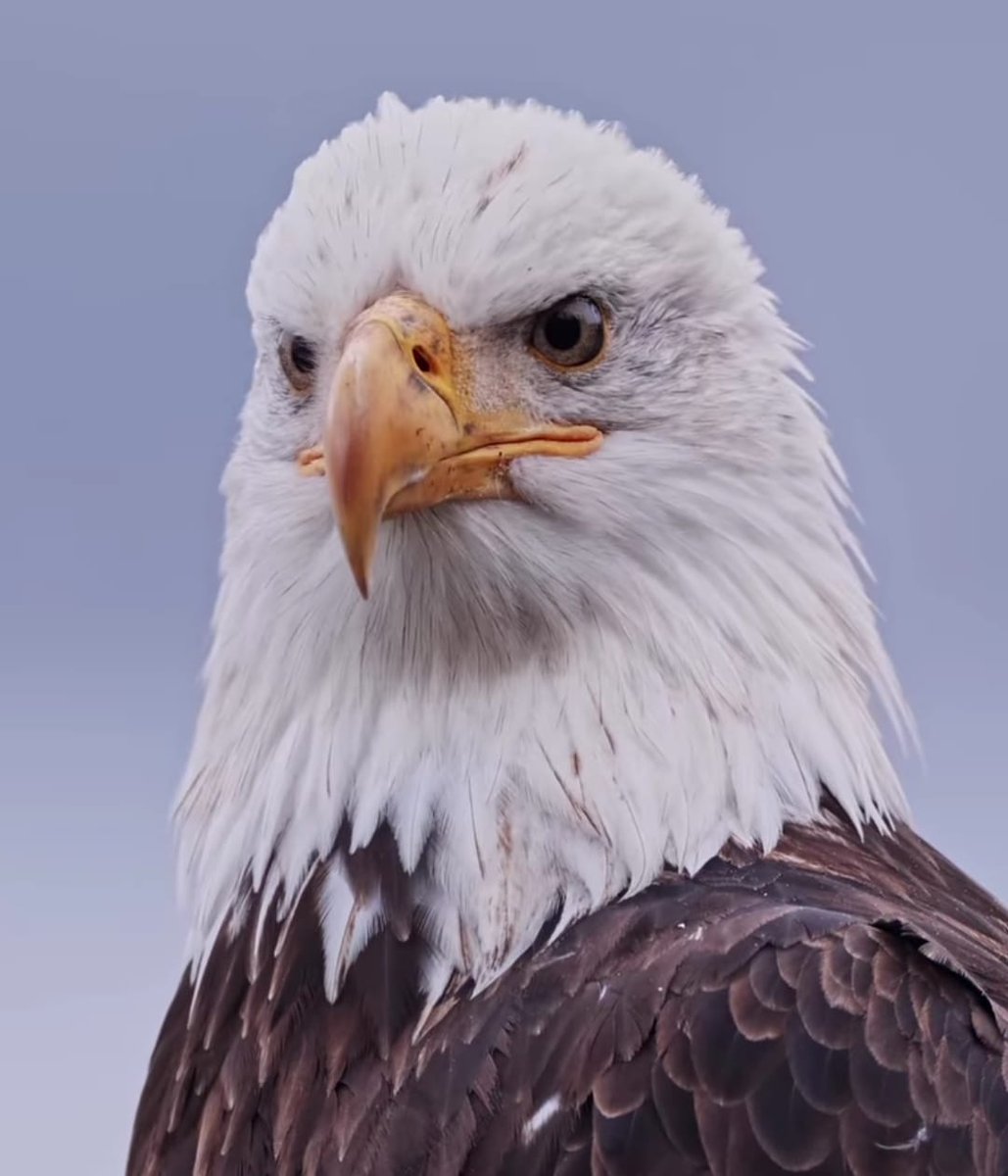 @Jemaco40 tweet media