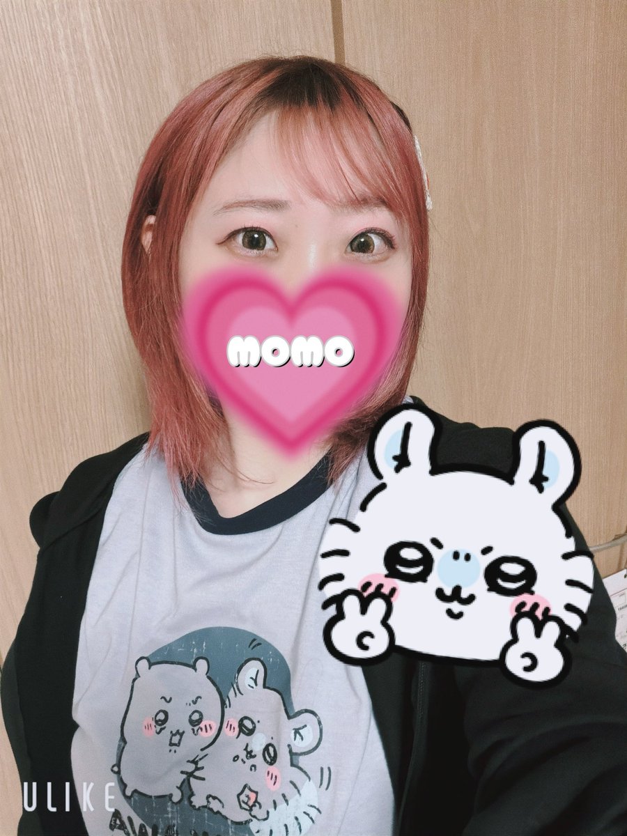 Ayaライオットモモ🍑 tweet media