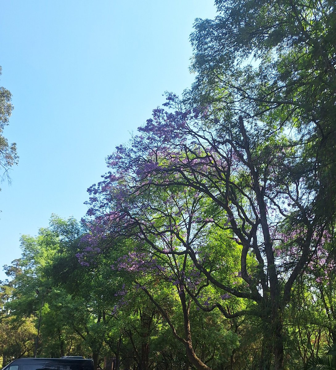 cherr 𐔌՞. .՞𐦯 ENHYPEN IS 7 tweet media