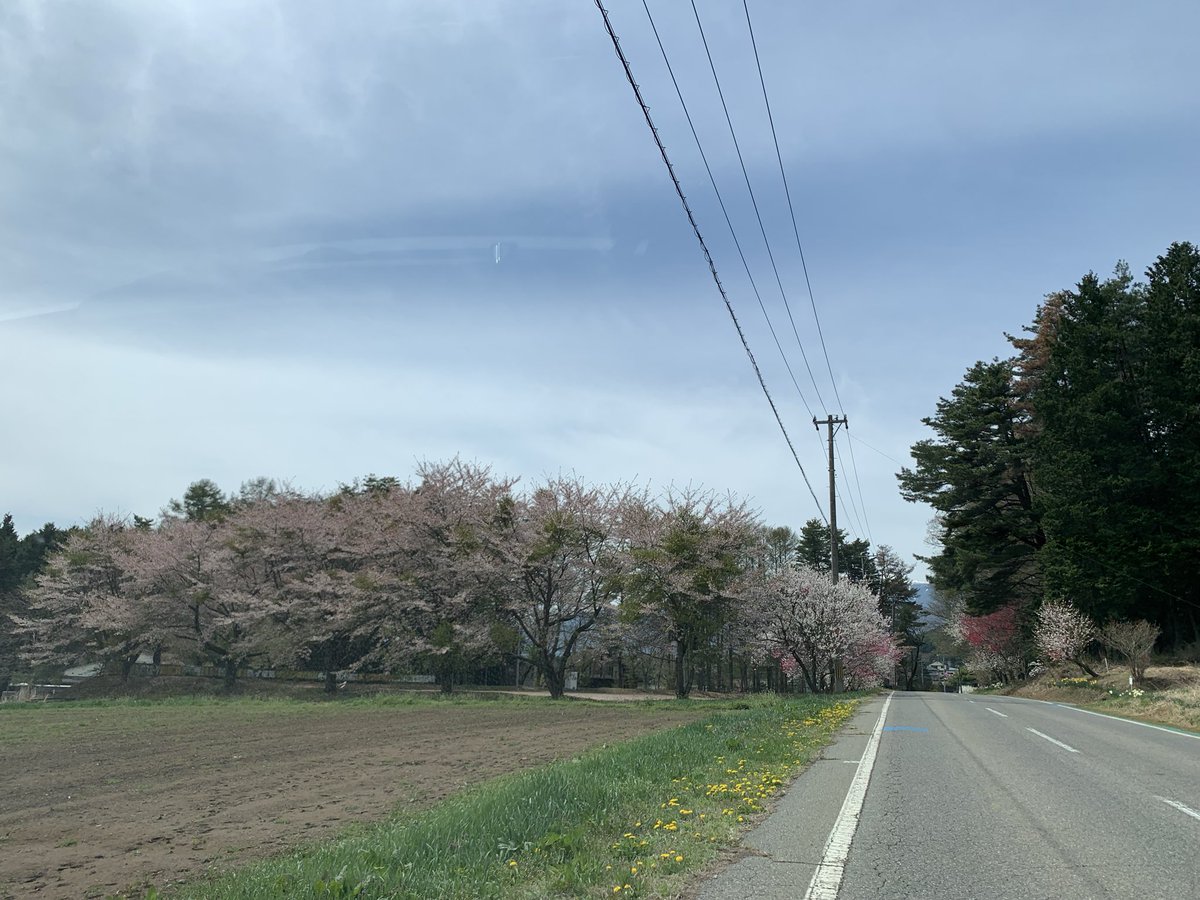 umikkote's tweet photo. 桜が終わると、花桃の季節
今日は葉桜と、花桃満開
遠くに見えるのは中央アルプスです
晴れてるけど、春だから霞んでますねぇ https://t.co/Sqip1UZzld