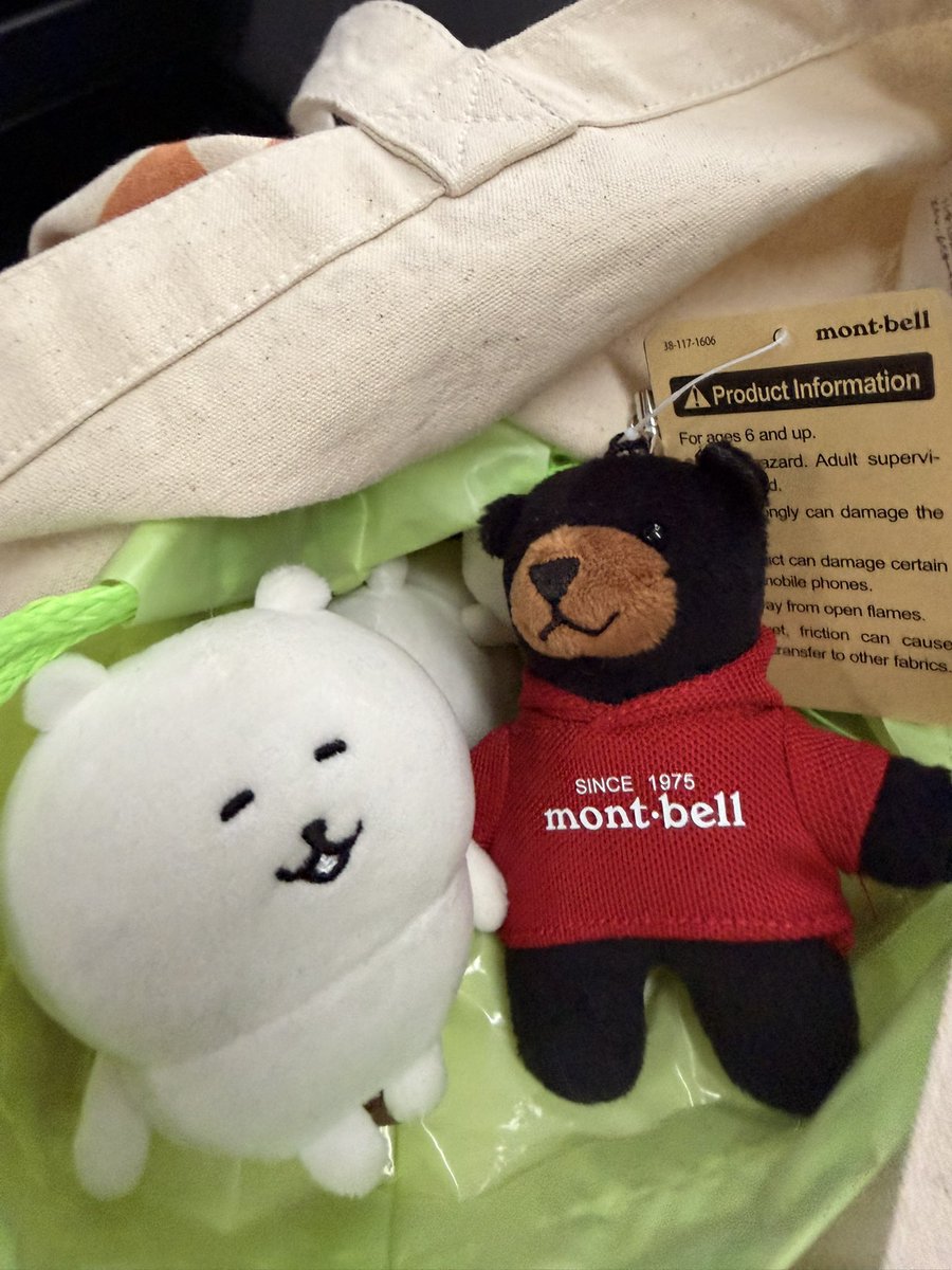 ハン@くま旅 tweet media