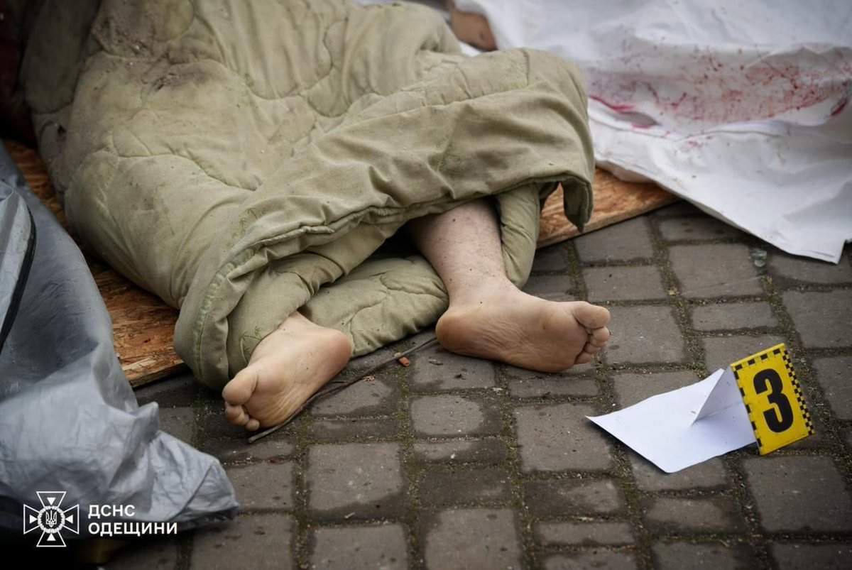 Caique Parrot tweet media